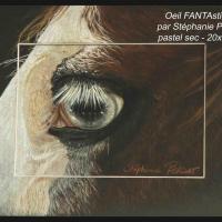 Oeil FANTAstique  -  20 x 30 cm   -   Disponible