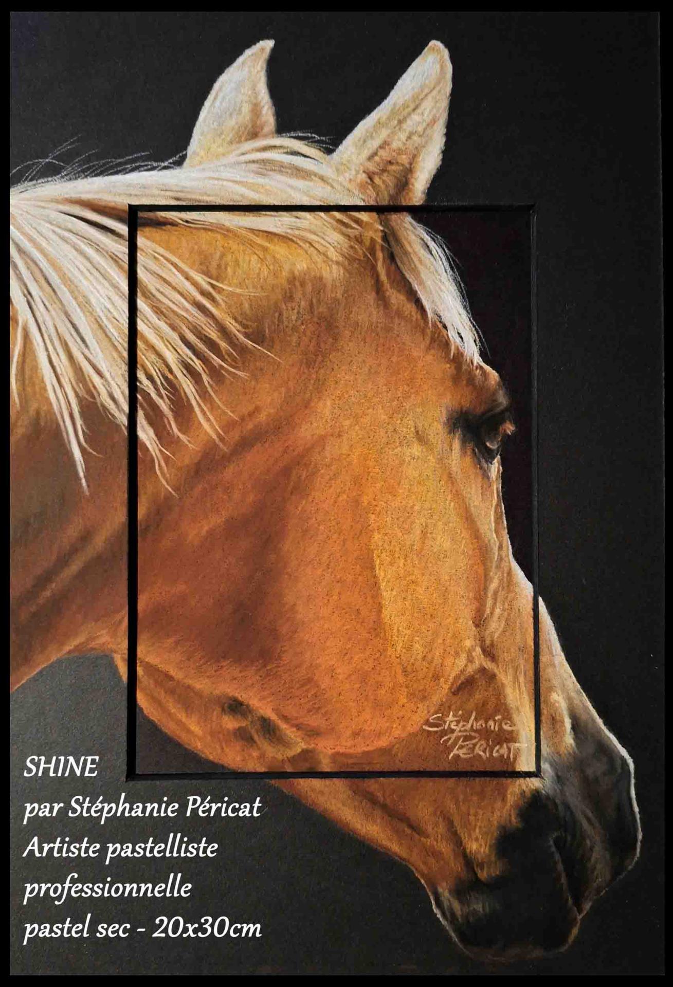 Shine  -  20 x 30 cm  -  Disponible