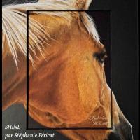 Shine  -  20 x 30 cm  -  Disponible