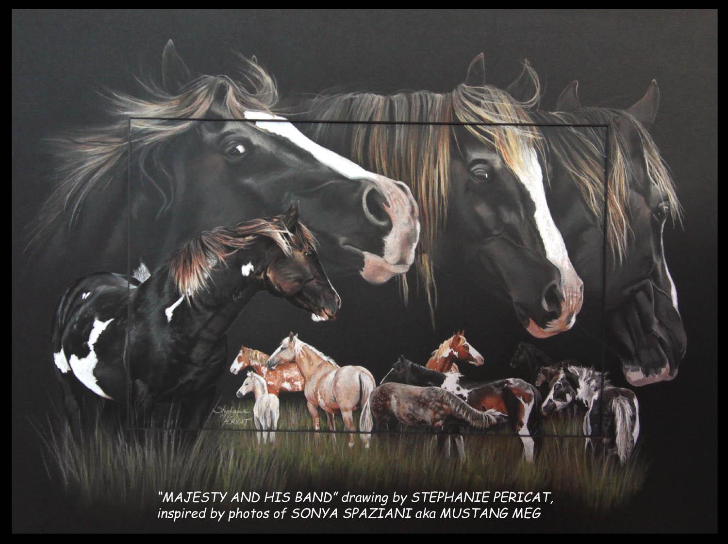 Majesty, étalon mustang  -  50 x 70 cm